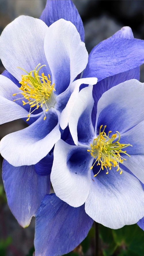 深刻走心的朋友圈說說,精辟有內(nèi)涵,值得細(xì)細(xì)品讀