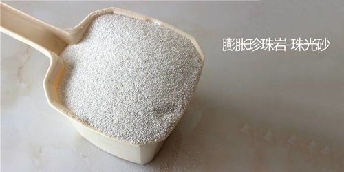 gb t 20313建筑材料及制品的濕熱性能含濕率的測(cè)定 烘干法珠光砂含水量測(cè)試儀